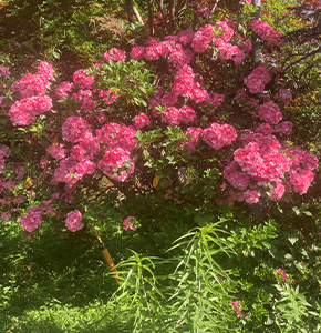 廣嚴院についてのイメージ